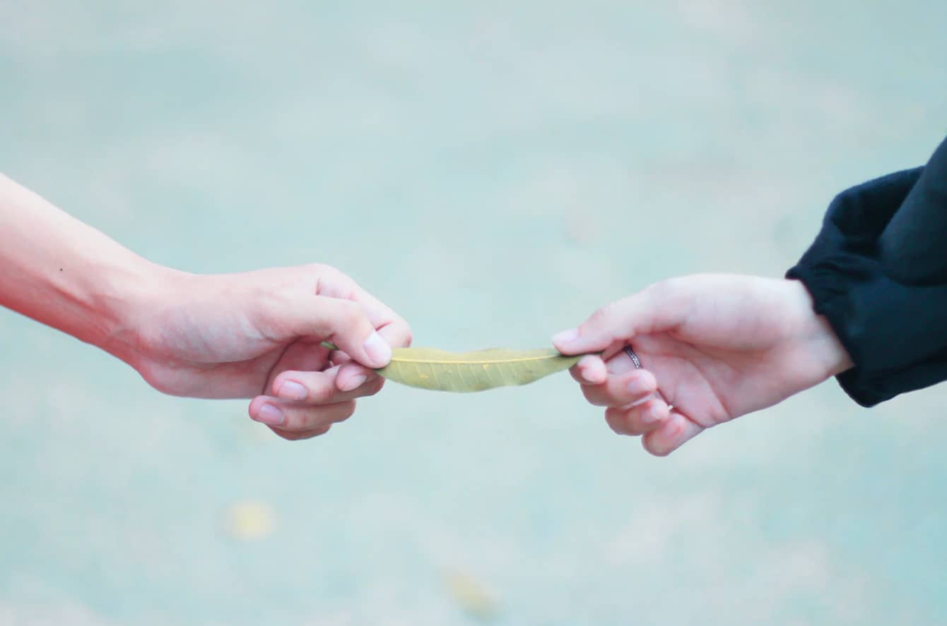 Deux mains illustrant un échange ou don de plantes entre particuliers