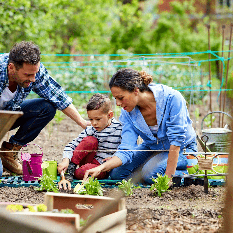 famille en train de jardiner au potager