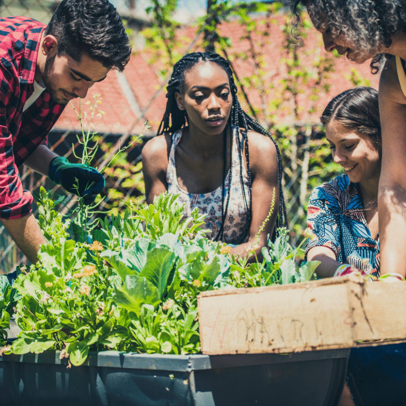 jardin_urbain_groupe