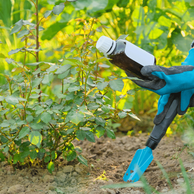 soin naturel du jardin à donner ou échanger
