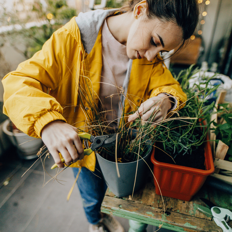 Femme entretenant son potager urbain